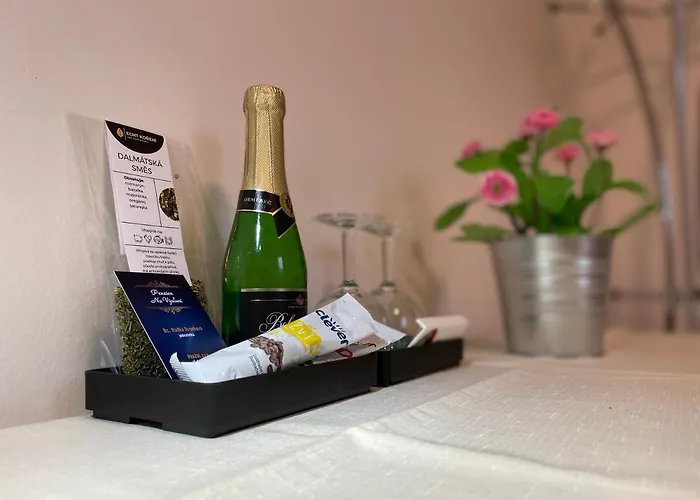 Apartment Na Vysluni Strasin